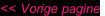 << Vorige pagine